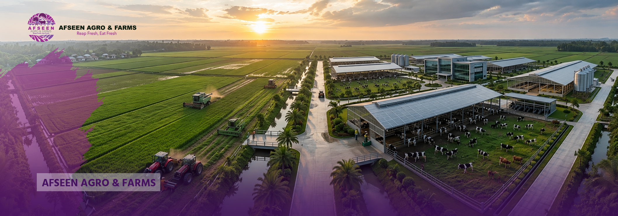 Afseen Agro & Farms
